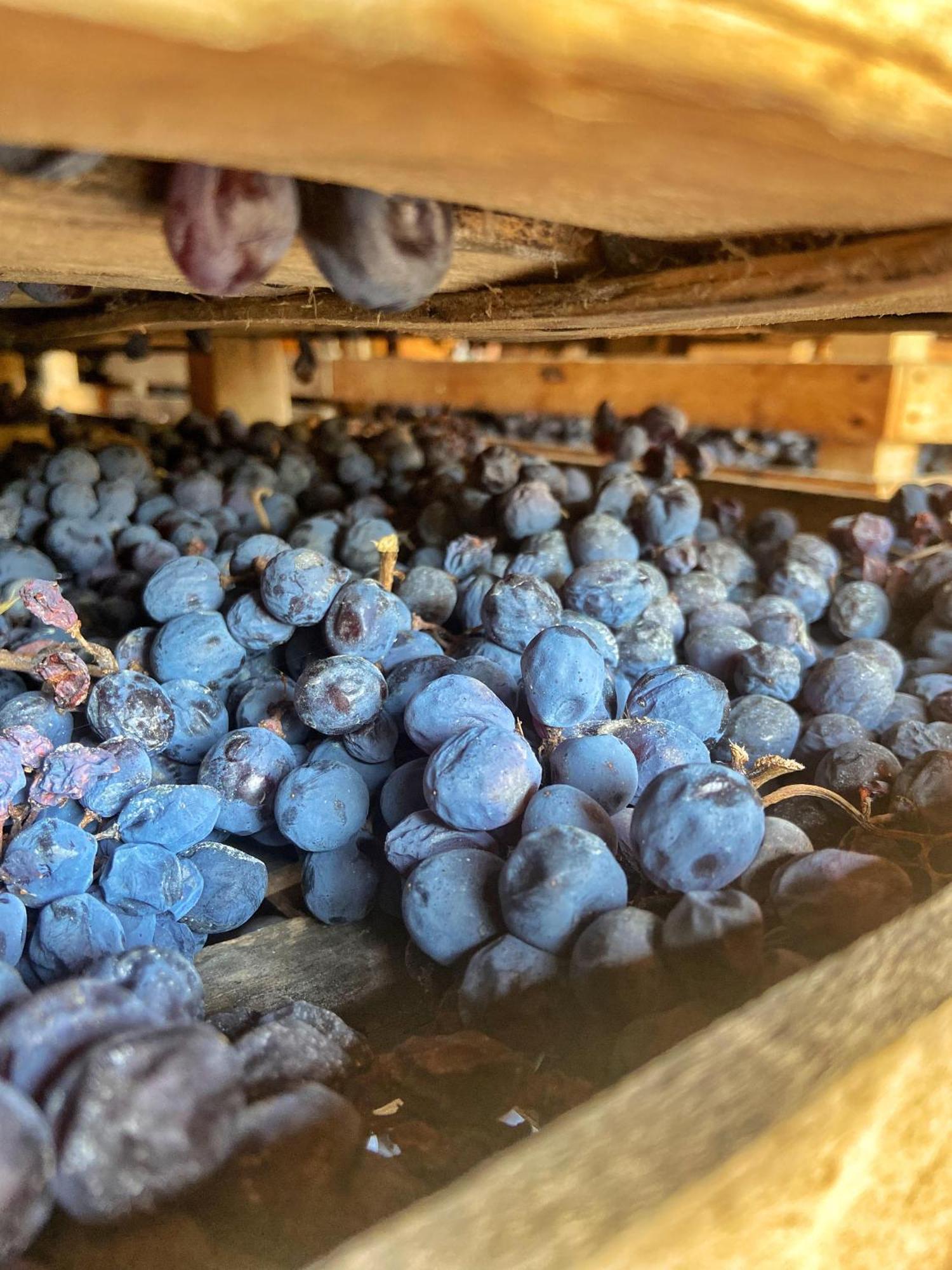 La Vineria Di San Mattia Villa Verona Bagian luar foto