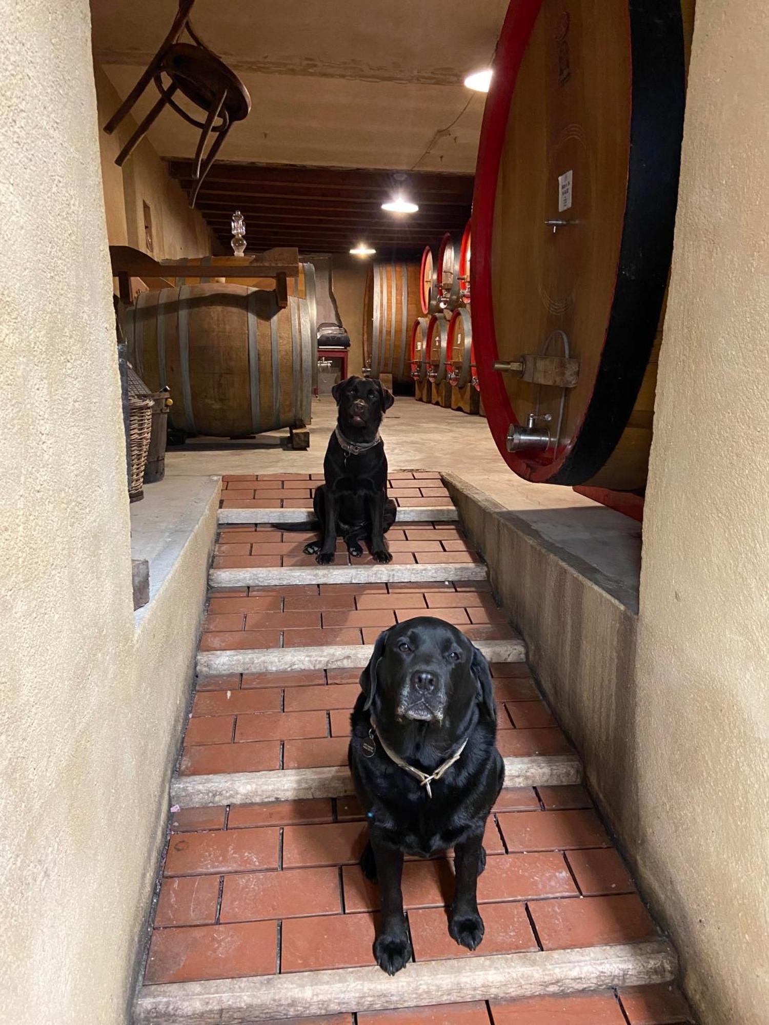 La Vineria Di San Mattia Villa Verona Bagian luar foto