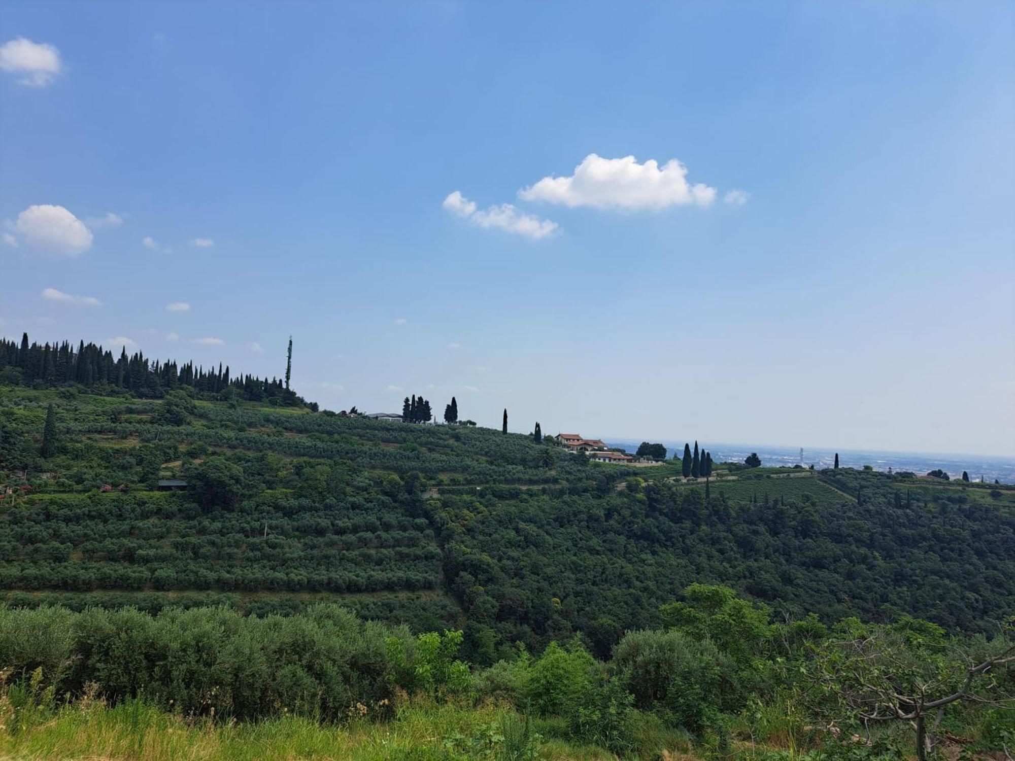 La Vineria Di San Mattia Villa Verona Ruang foto
